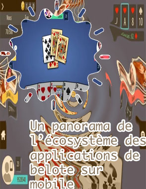 Jeu de belote solo gratuit