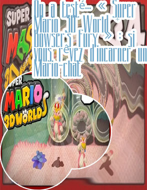 Mario 3d world switch avis